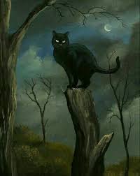 el gato negro-32