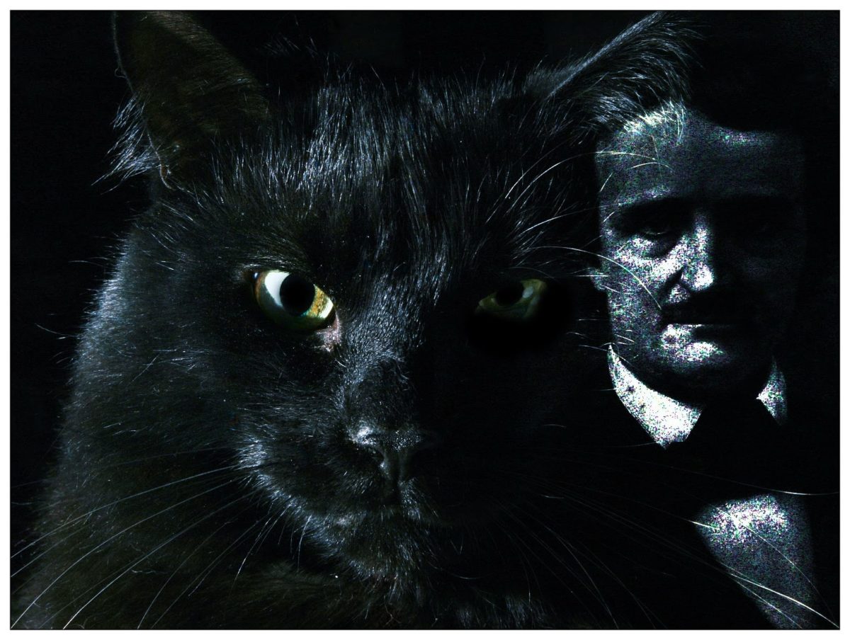 el gato negro-7.jpge