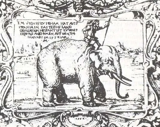 El-viaje-del-elefante-6