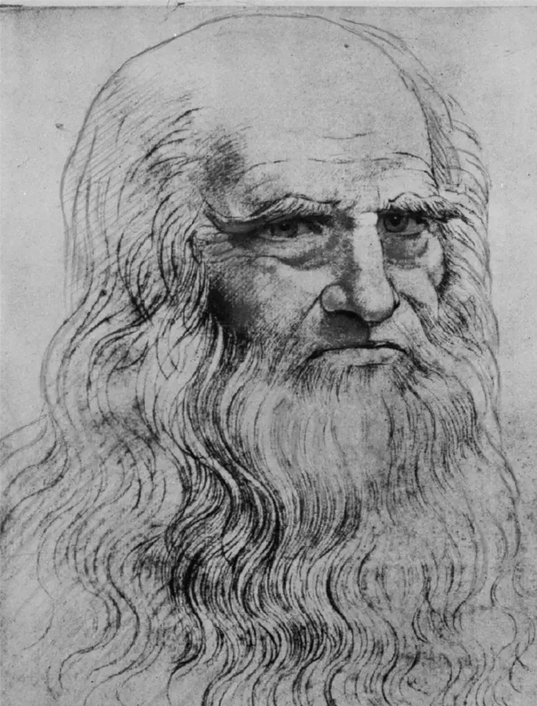 LEONARDO DA VINCI, UNO DE LOS MÁS GRANDES PINTORES LEONARDO DA VINCI, UNO DE LOS MÁS GRANDES PINTORES