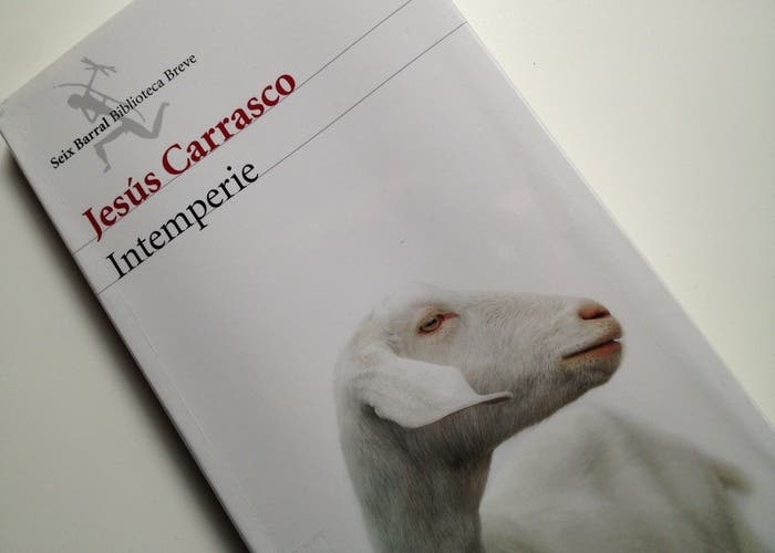 novela Intemperie de Jesús Carrasco